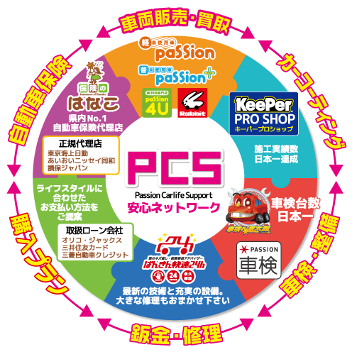 Passion Carlife Support